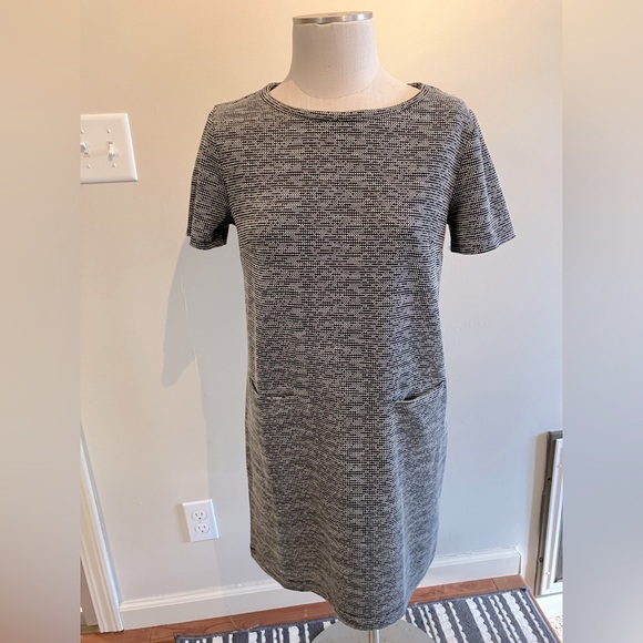 Ladies SZ M Tahari knit shift dress COMFY - Picture 1 of 10